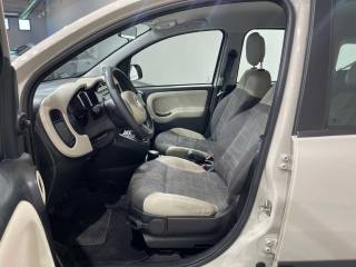 FIAT Panda usata, con Fendinebbia