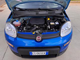 FIAT Panda usata 29