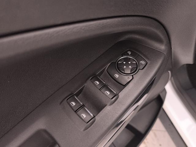 FORD EcoSport usata, con Bracciolo