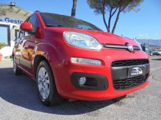 FIAT Panda usata 17