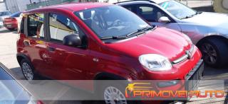 FIAT Panda usata, con Antifurto