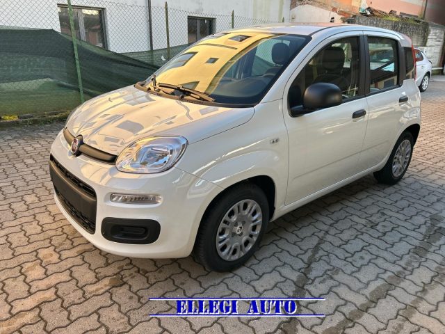 FIAT Panda usata, con Climatizzatore