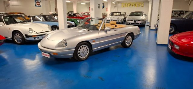 ALFA ROMEO Spider usata 15