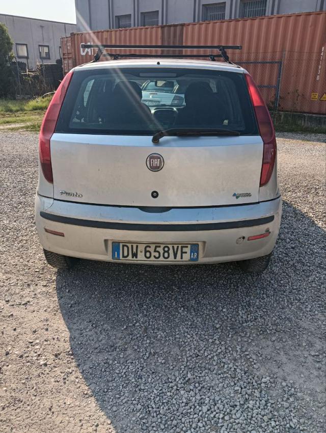 FIAT Punto usata, con Airbag Passeggero