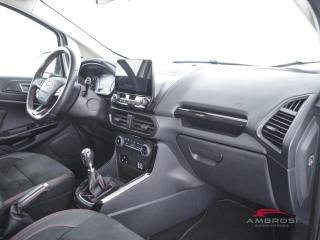 FORD EcoSport usata 11