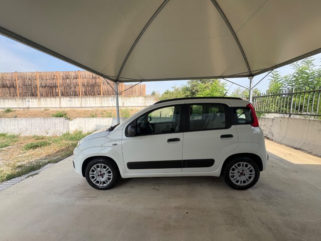 FIAT Panda usata, con Cerchi in lega