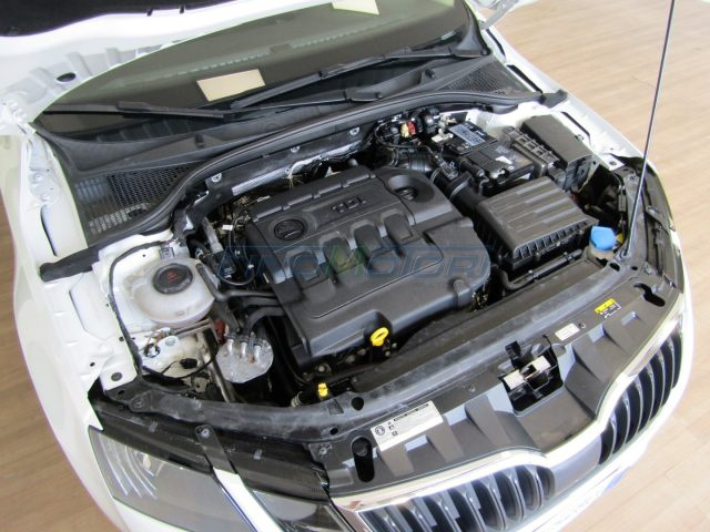 SKODA Octavia usata, con Fendinebbia