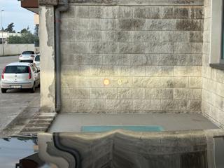 BMW X4 usata, con Sedile posteriore sdoppiato