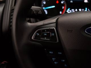 FORD EcoSport usata, con Sensore di luce