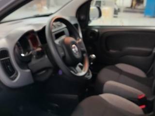 FIAT Panda usata 18