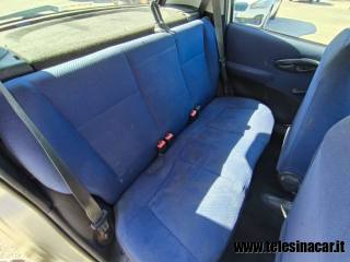 FIAT Punto usata 13