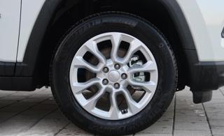 JEEP Compass usata, con Fendinebbia