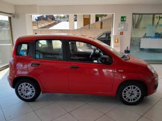 FIAT Panda usata, con Alzacristalli elettrici