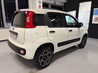 FIAT Panda usata, con Airbag Passeggero