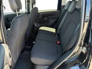 FIAT Panda usata, con Cruise Control