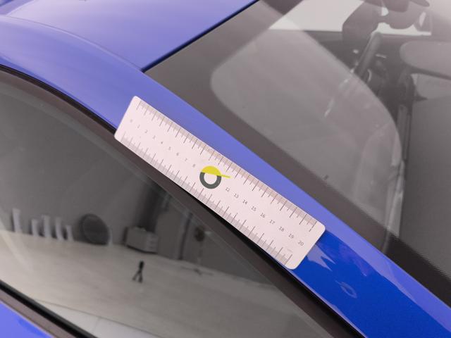 SKODA Fabia usata 38