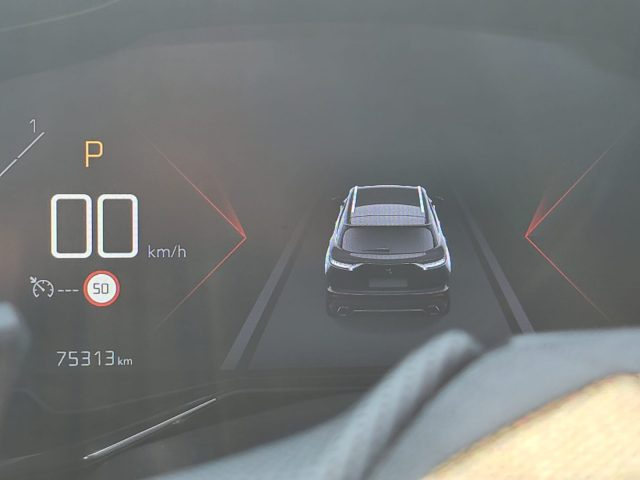 DS AUTOMOBILES DS 7 Crossback usata, con Luci diurne LED