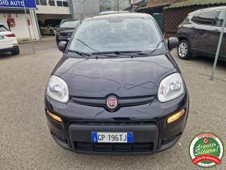 FIAT Panda usata, con Airbag
