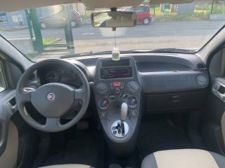 FIAT Panda usata, con Cronologia tagliandi