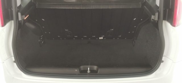 FIAT Panda usata, con Volante multifunzione