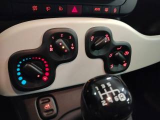 FIAT Panda usata, con Airbag testa