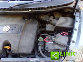 VOLKSWAGEN New Beetle usata 40