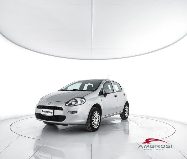 FIAT Punto usata 0