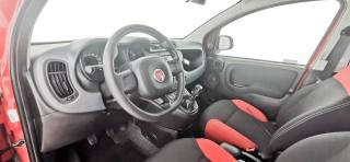 FIAT Panda usata 55