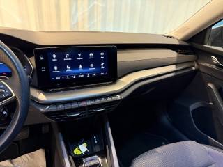 SKODA Octavia usata, con Cerchi in lega