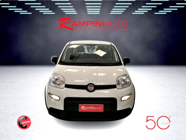 FIAT Panda usata 2