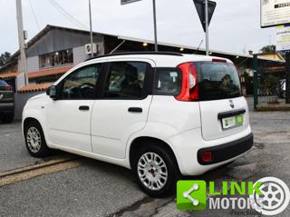 FIAT Panda usata, con Airbag Passeggero