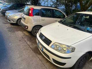 FIAT Punto usata 4