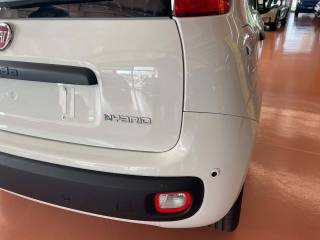 FIAT Pandina usata, con Chiusura centralizzata