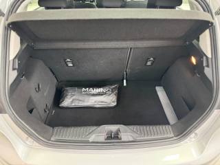 FORD Fiesta usata, con ESP