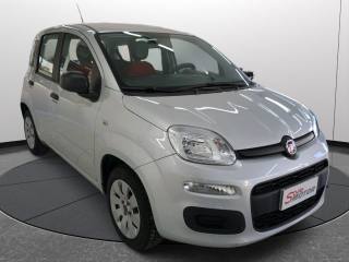FIAT Panda usata 2