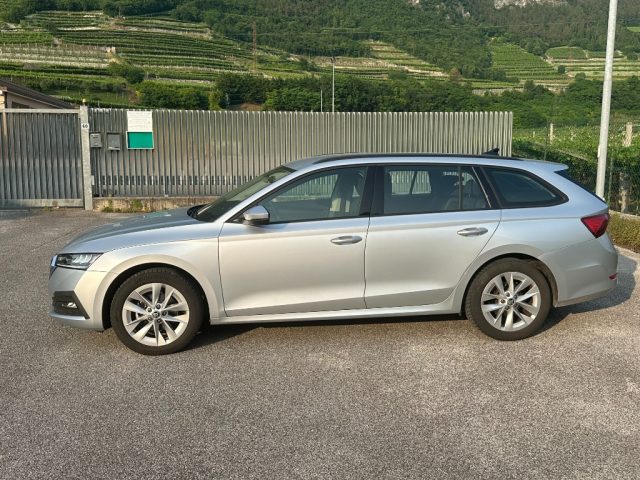 SKODA Octavia usata, con Airbag laterali