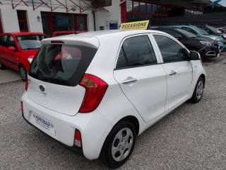 KIA Picanto usata, con Airbag Passeggero