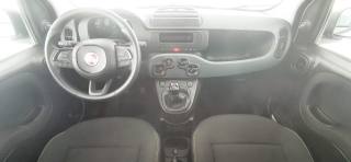 FIAT Panda usata, con Cronologia tagliandi