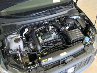 SEAT Ibiza usata, con Fendinebbia