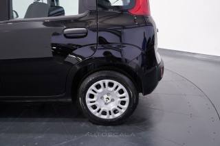FIAT New Panda usata 23