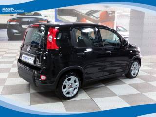 FIAT Panda usata, con Airbag
