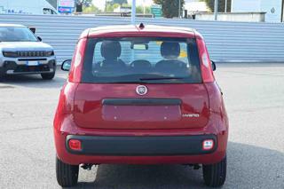 FIAT Panda usata, con Antifurto
