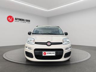 FIAT Panda usata, con Alzacristalli elettrici