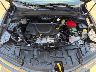 ALFA ROMEO Tonale usata, con Sedile posteriore sdoppiato