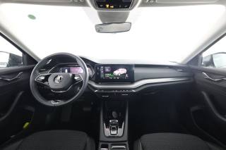 SKODA Octavia usata 10