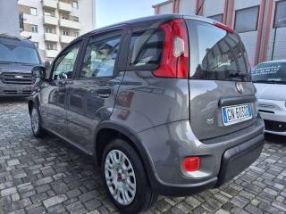 FIAT Panda usata, con Chiusura centralizzata