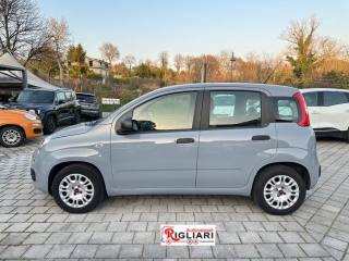 FIAT Panda usata 5