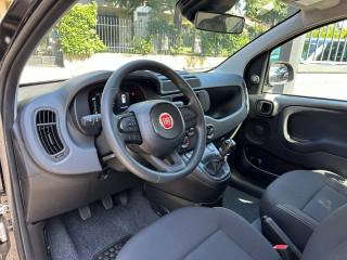 FIAT Panda usata, con Antifurto