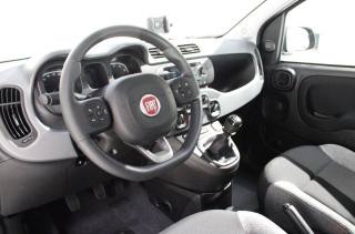 FIAT Panda usata, con Antifurto