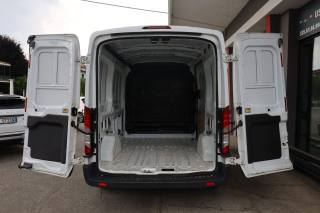 FORD Transit usata 35